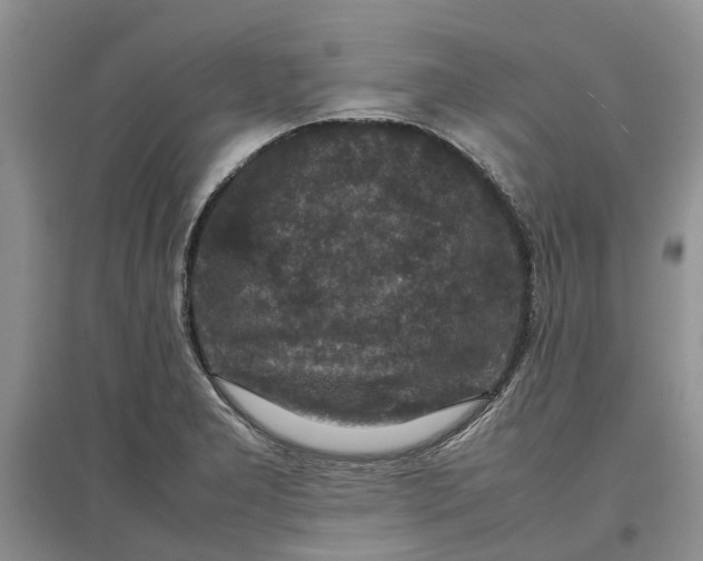 X0000097661277200803142124