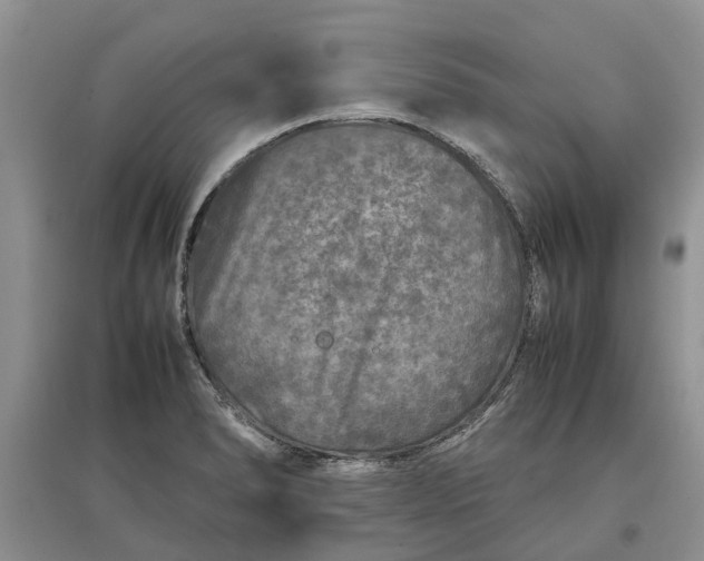 X0000097661278200803142124