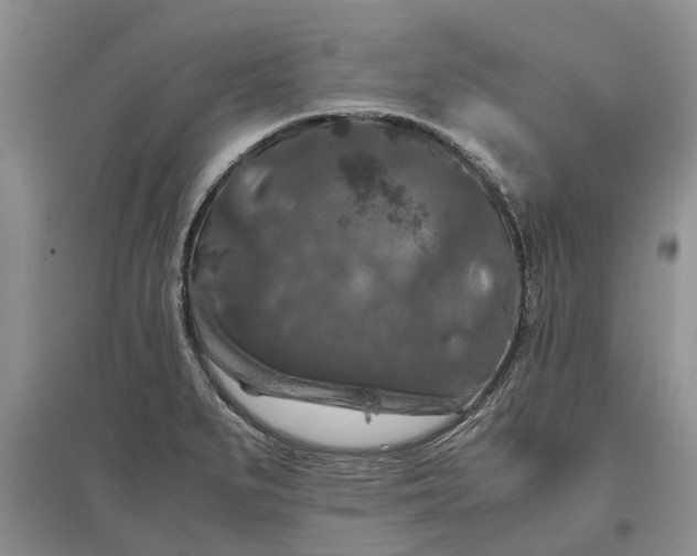 X0000097661279200803142124