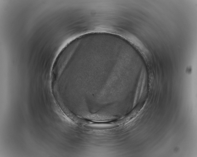 X0000097661280200803142124