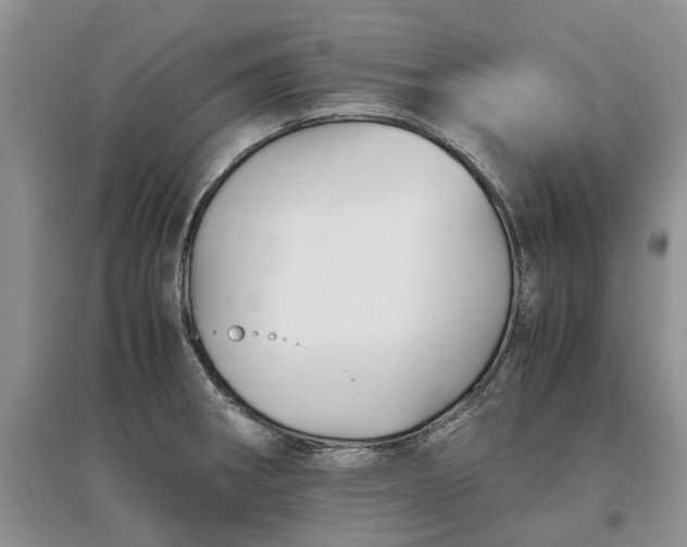 X0000097661282200803142124