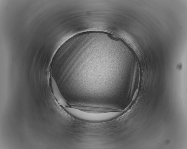 X0000097661284200803142124