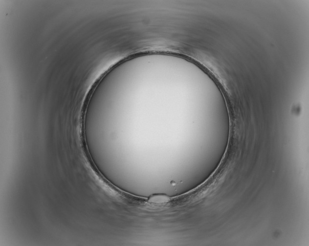 X0000097661285200803142124