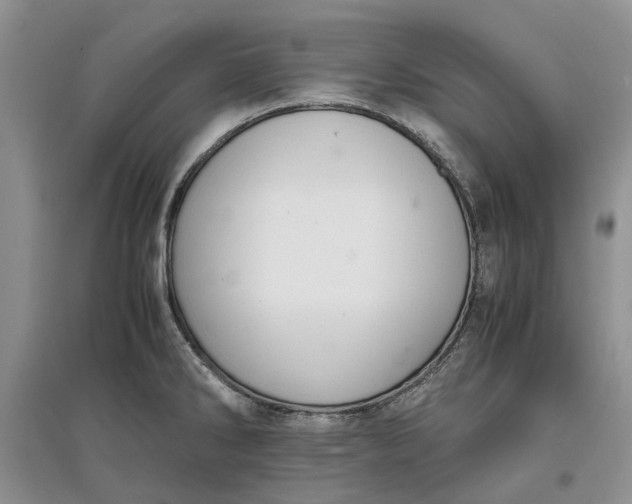 X0000097661286200803142123