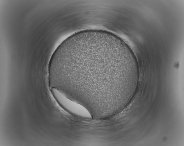 X0000097661287200803142123