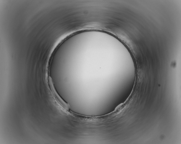 X0000097661288200803142123