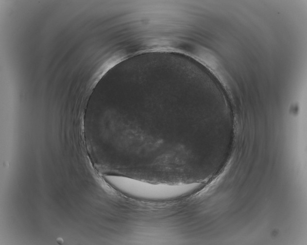 X0000097661289200803142123