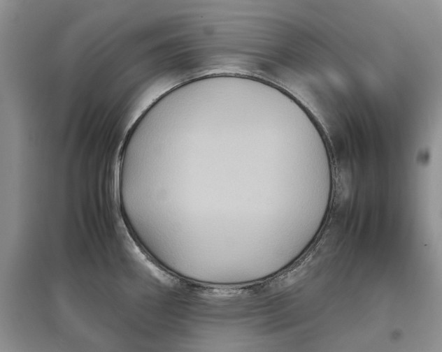 X0000097661290200803142123