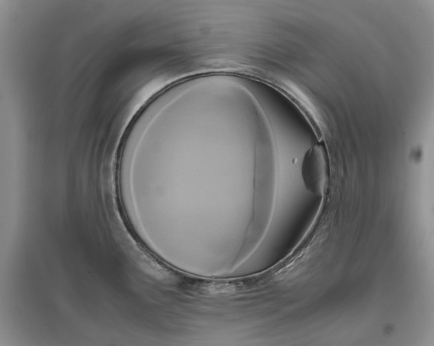 X0000097661291200803142123