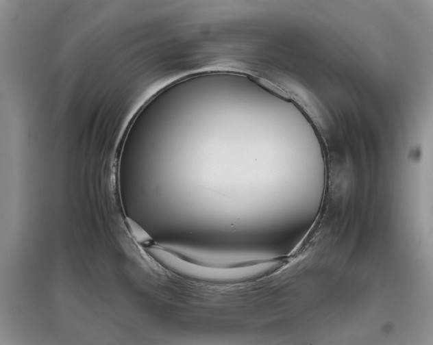 X0000097661292200803142123