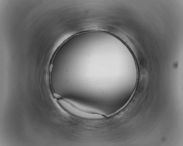 X0000097661293200803142123