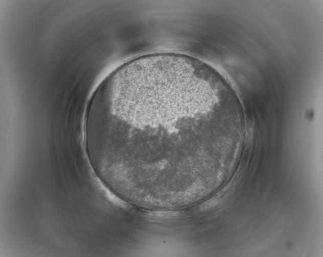 X0000097661294200803142123