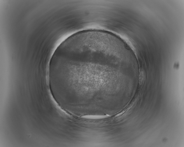 X0000097661295200803142123