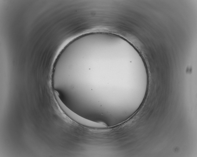 X0000097661296200803142123