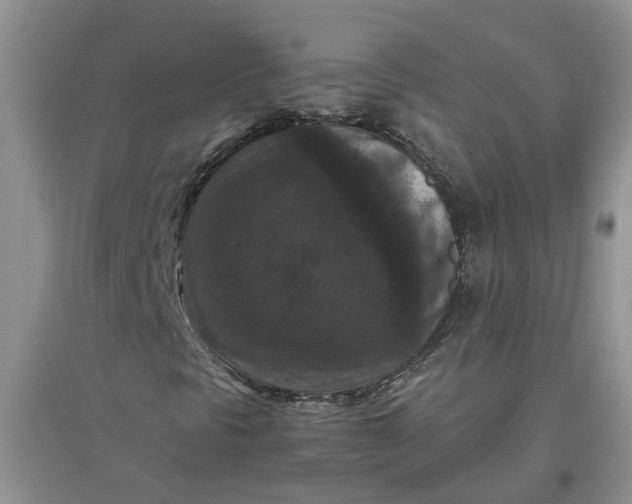 X0000097661297200803142123