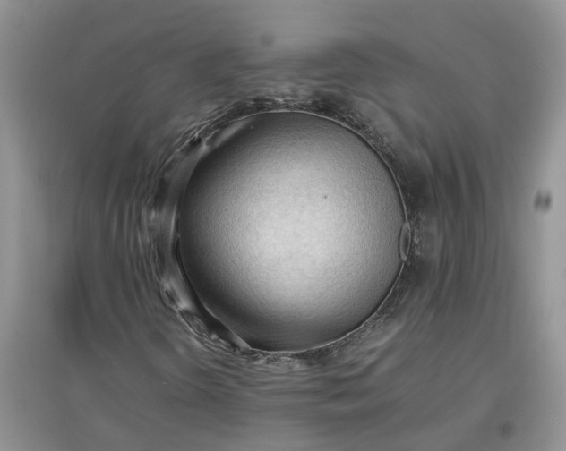 X0000097661298200803142123
