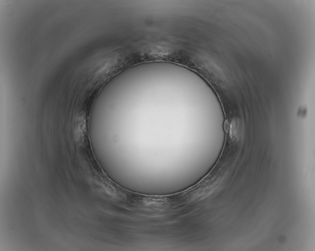 X0000097661299200803142123