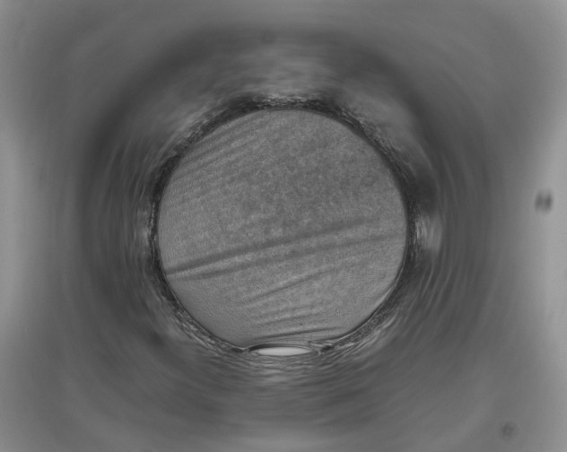 X0000097661300200803142123