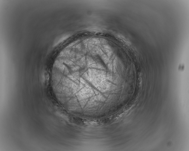 X0000097661302200803142123