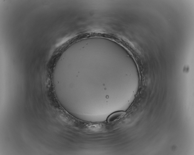 X0000097661303200803142123