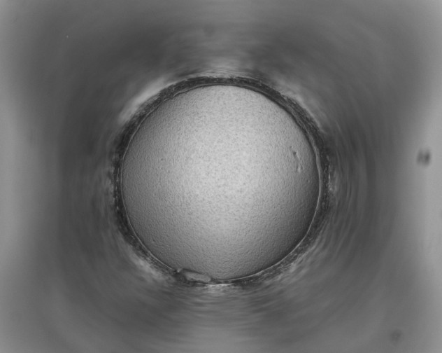 X0000097661304200803142123