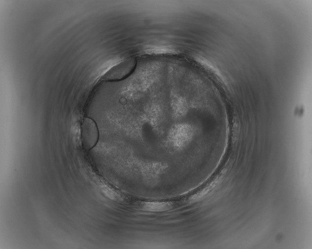 X0000097661305200803142123