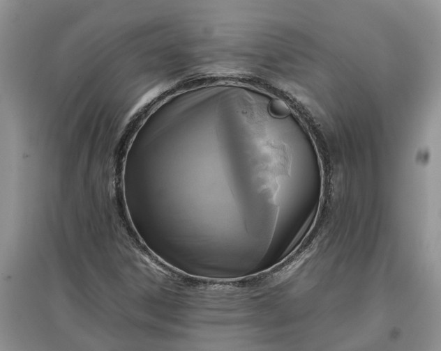 X0000097661306200803142123