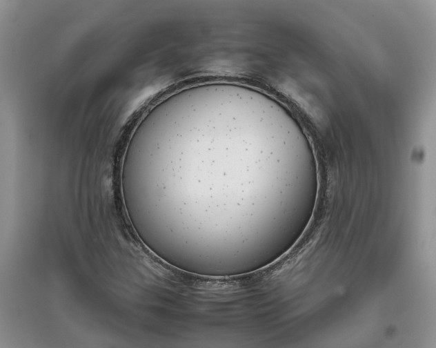 X0000097661307200803142123