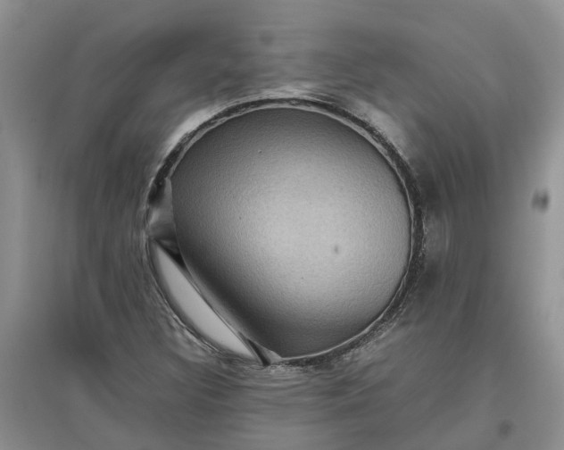 X0000097661308200803142123