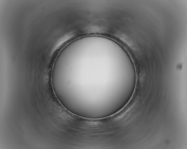 X0000097661309200803142123