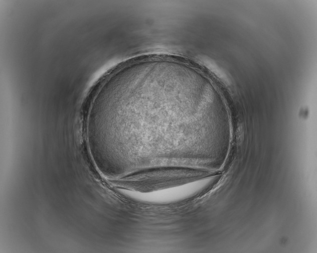 X0000097661310200803142123