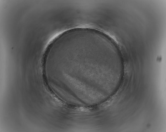 X0000097661311200803142123