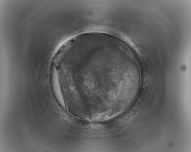X0000097661312200803142123