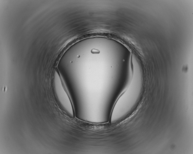 X0000097661313200803142123