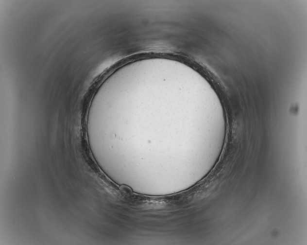 X0000097661315200803142123