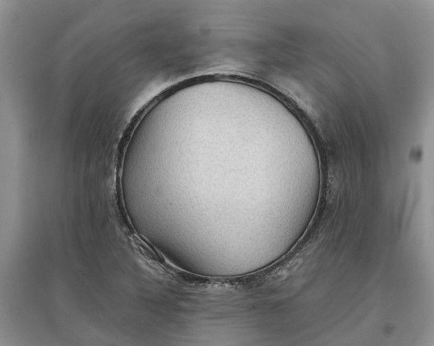 X0000097661316200803142123