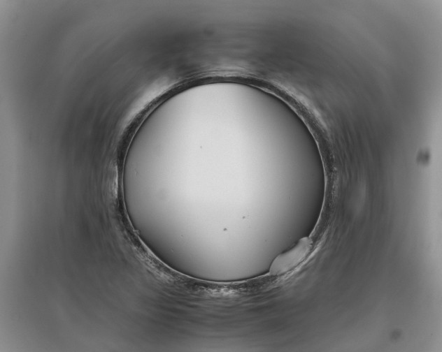 X0000097661317200803142123