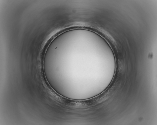 X0000097661318200803142123