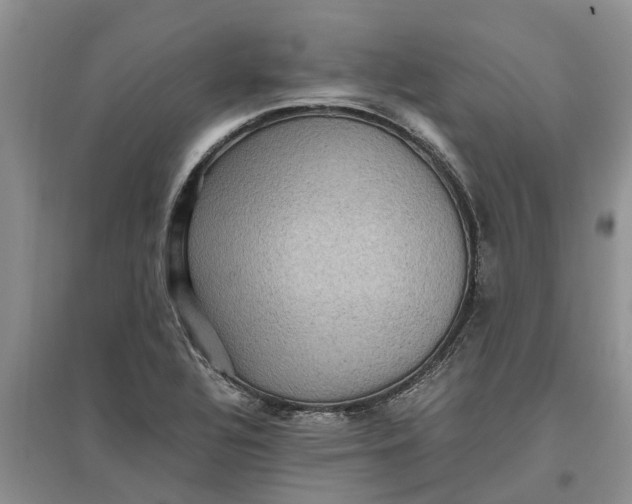 X0000097661320200803142123