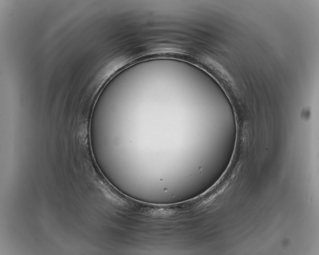X0000097661321200803142123