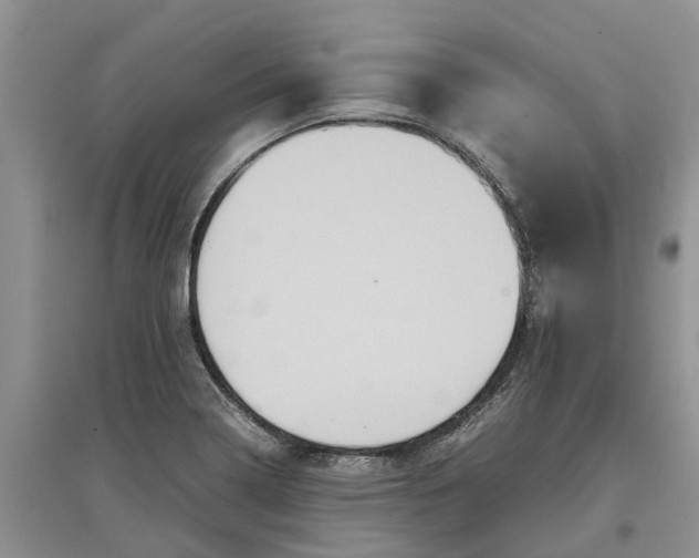 X0000097661322200803142123