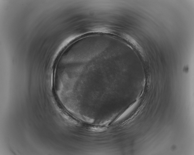 X0000097661323200803142123