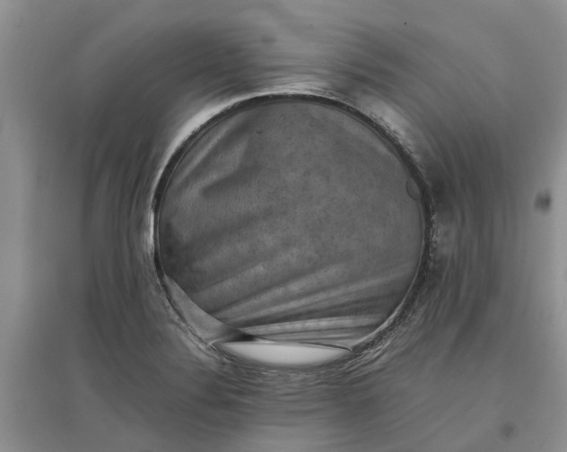 X0000097661324200803142123