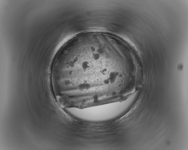 X0000097661325200803142123
