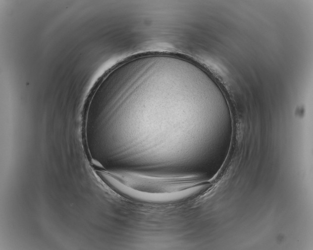 X0000097661326200803142123