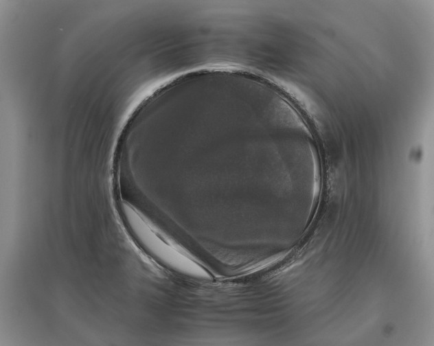 X0000097661327200803142123