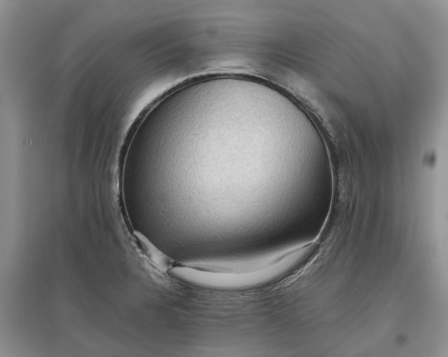 X0000097661328200803142123