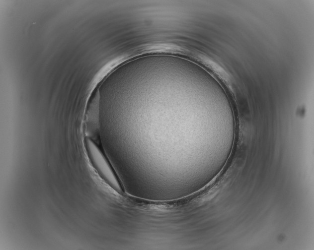 X0000097661330200803142123