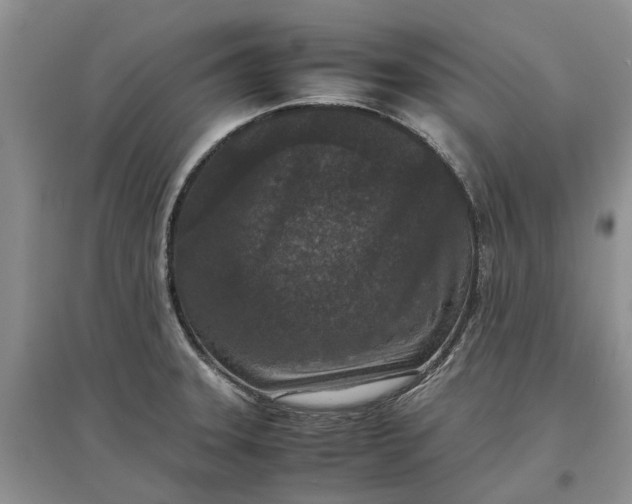 X0000097661331200803142123