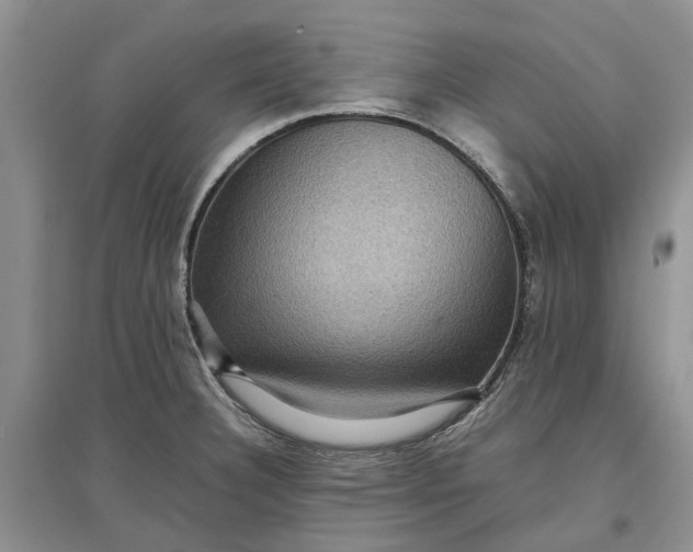 X0000097661332200803142123